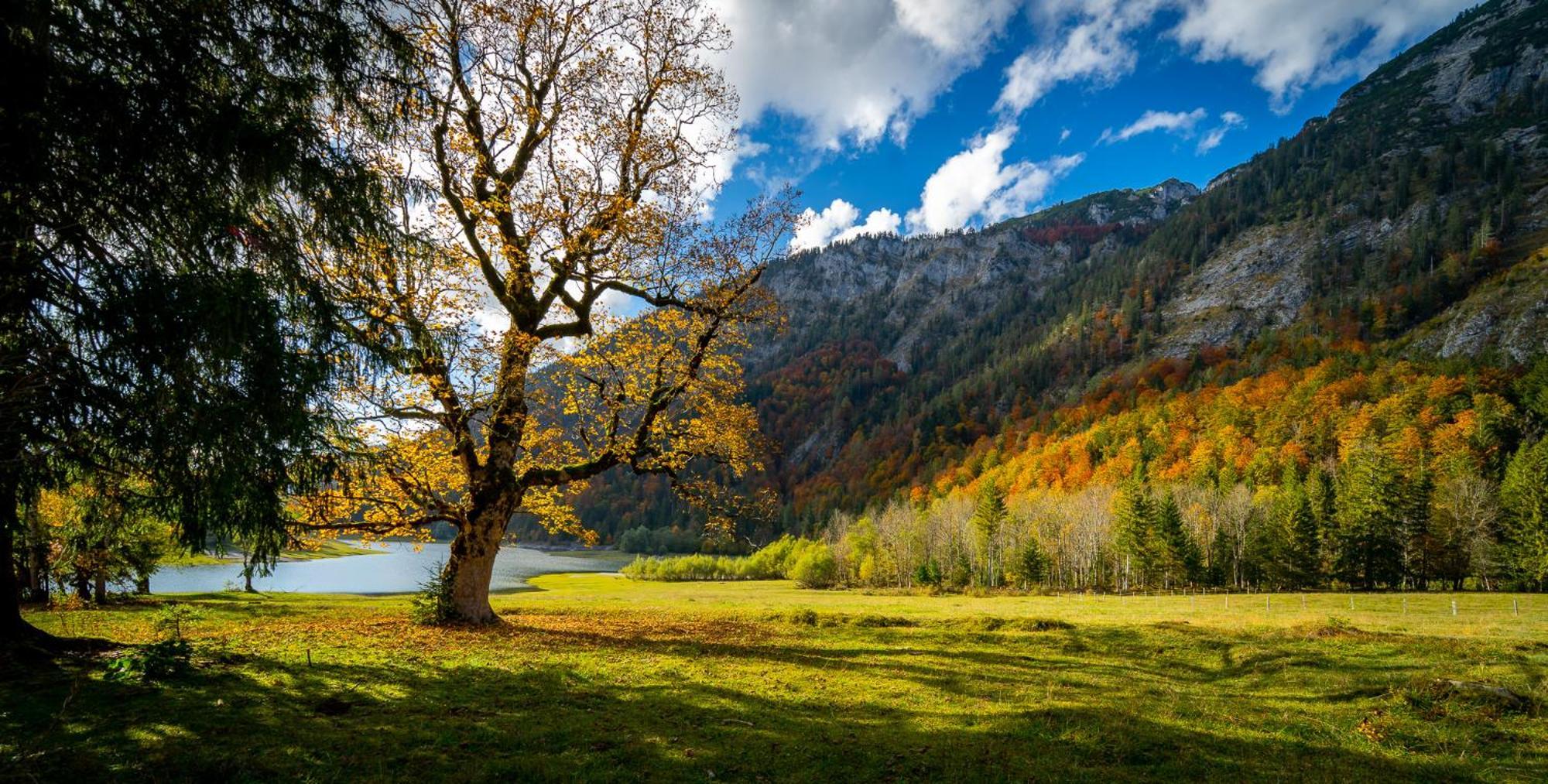 Ferienwohnungen Hollweger Inkl. Chiemgaukarte Ruhpolding Exterior photo