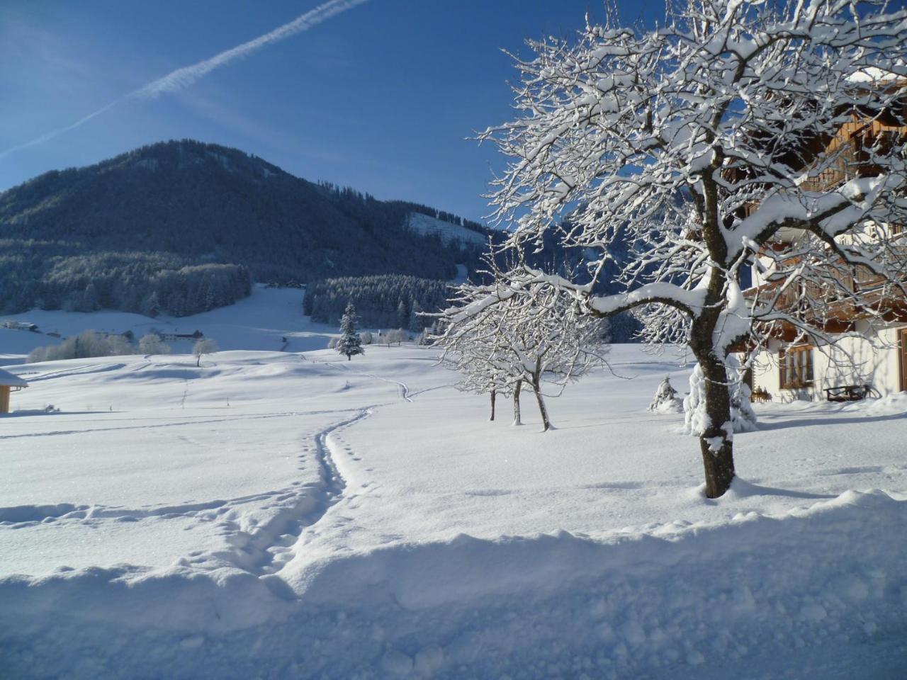 Ferienwohnungen Hollweger Inkl. Chiemgaukarte Ruhpolding Exterior photo
